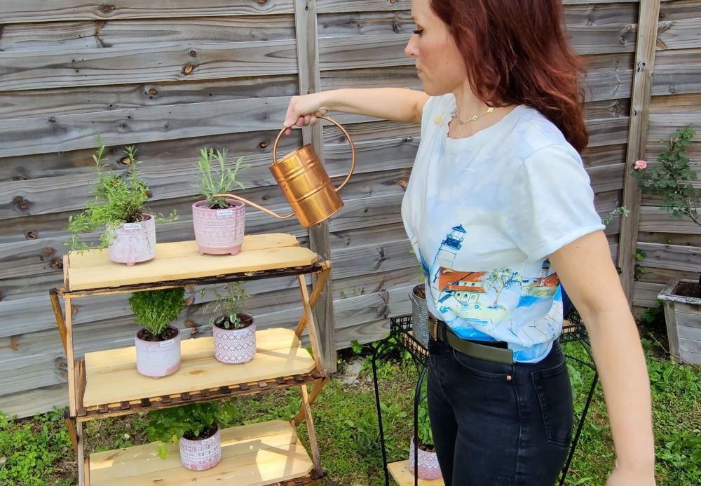 Free garden planning tips for gardening in pots - comprehensive guide showing container arrangements and planting strategies