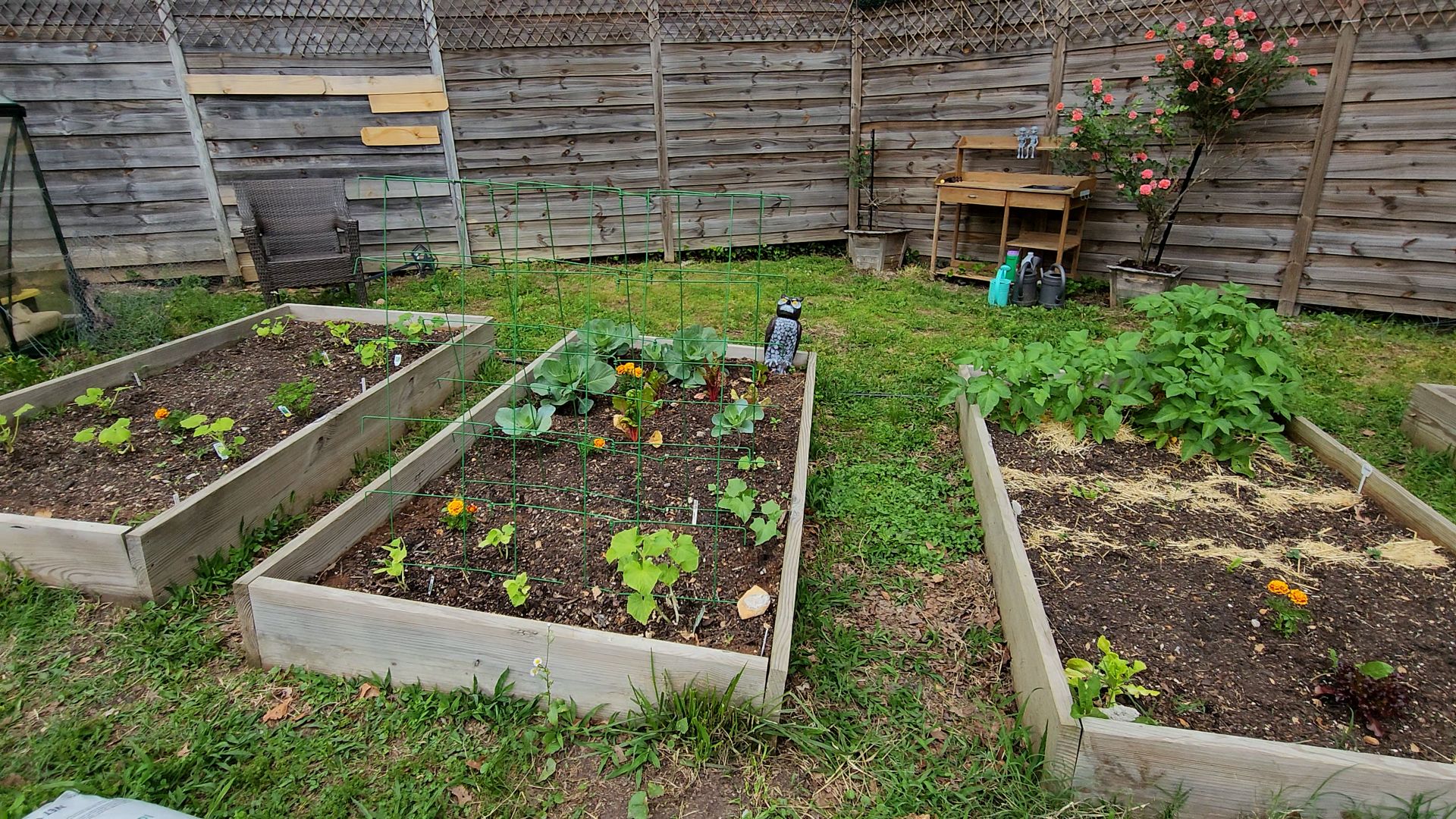 Raised bed garden with vegetables